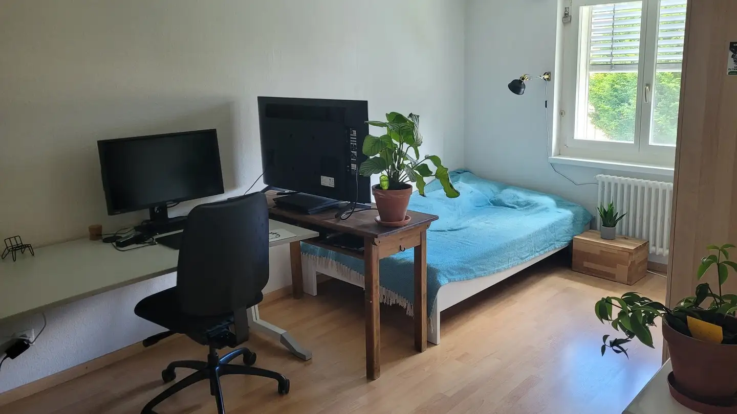 Stanza singola in affitto - 8051 Zürich