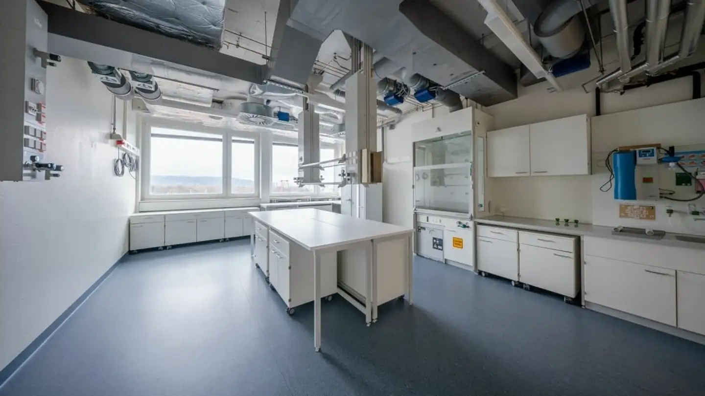 Bürofläche mieten - Hochbergerstrasse 60a, 4057 Basel - Foto 2