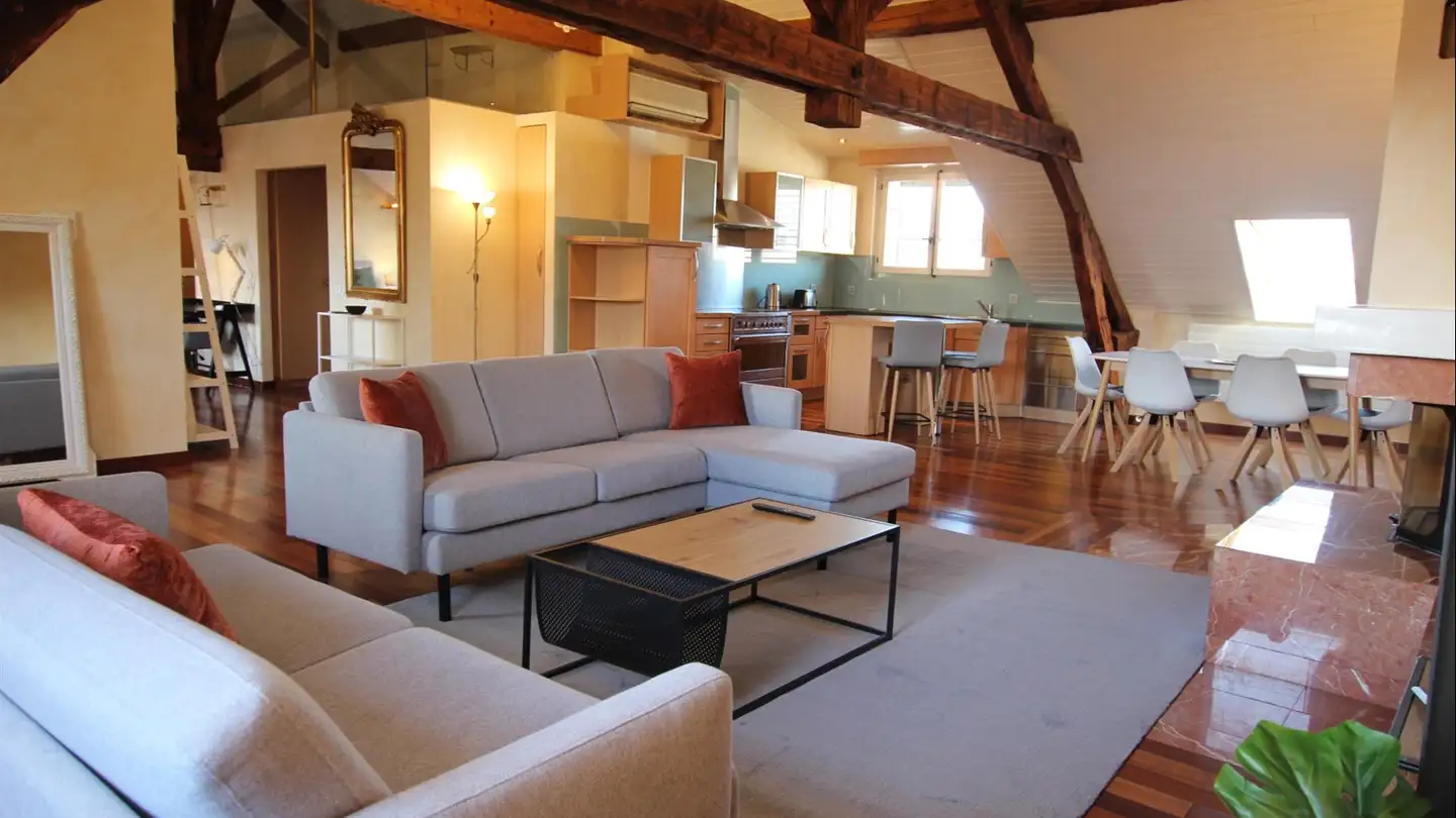 Furnished apartment for rent - Rue Sismondi 13, 1201 Genève