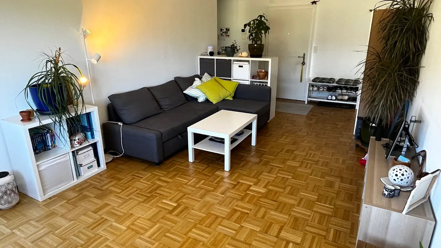 Appartamento ammobiliato in affitto - 2560 Nidau