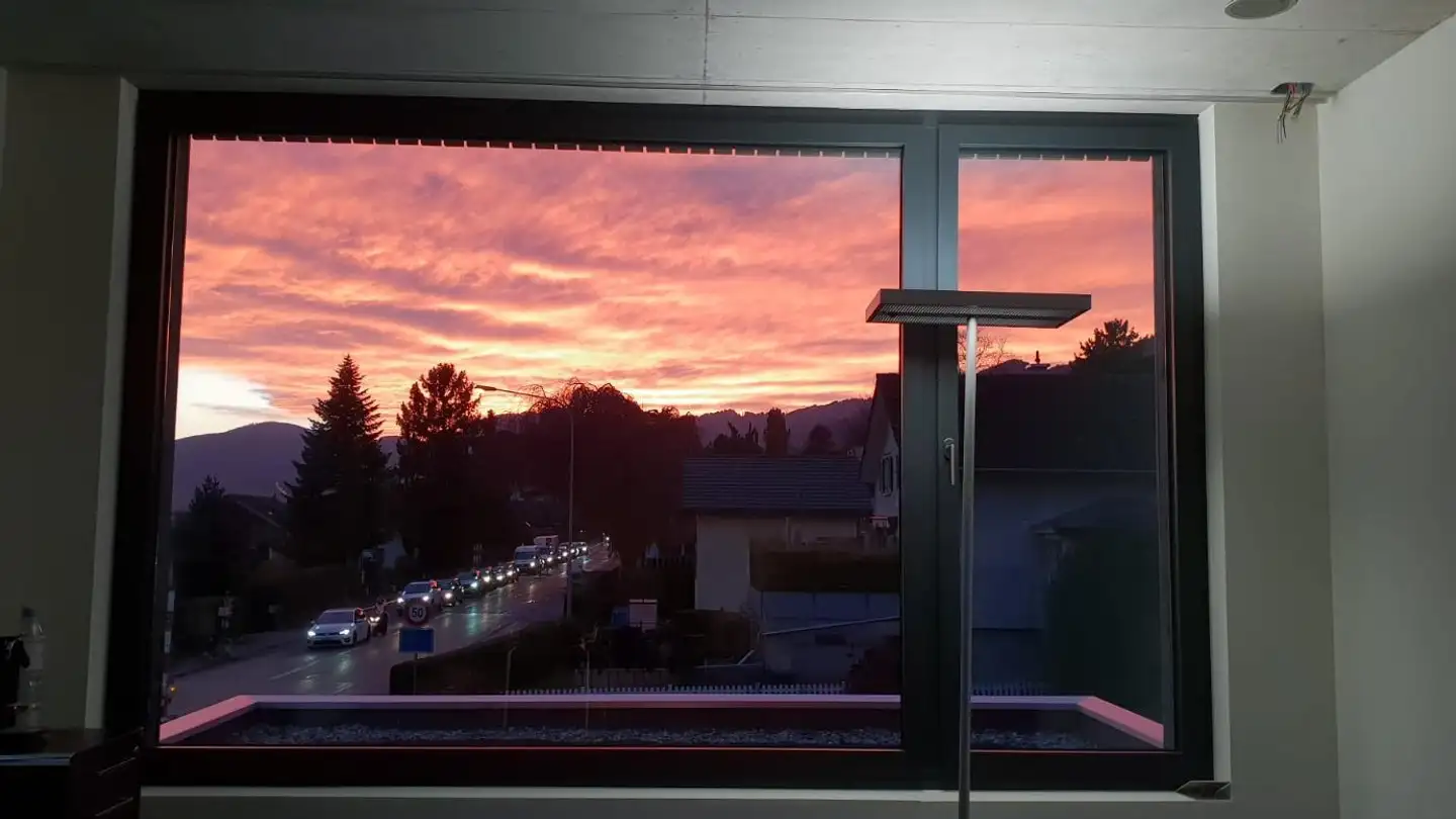 Commerciale in vendita - Hauptstrasse 106a, 9436 Balgach - Photo 2