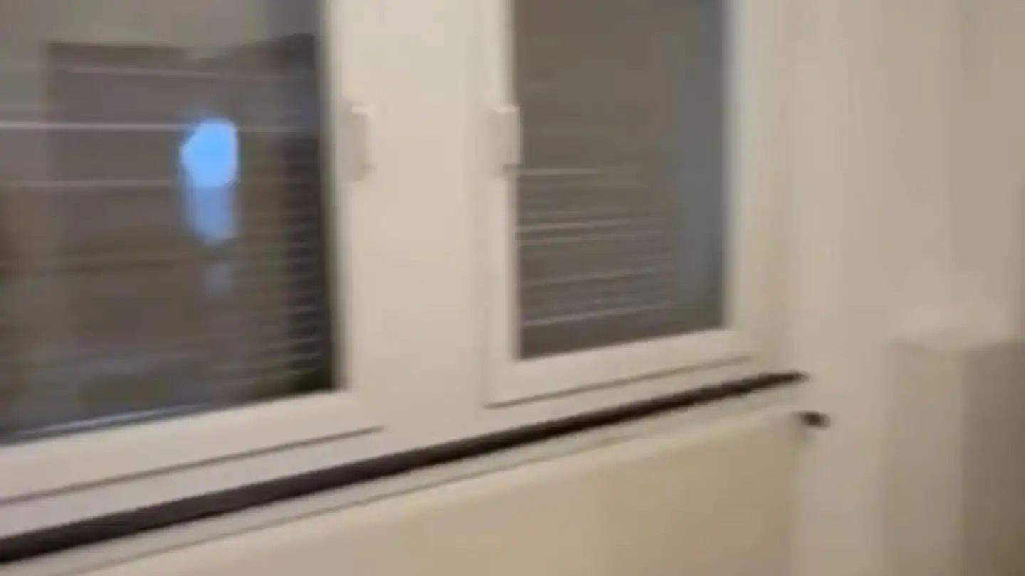 Single room for rent - 8046 Zürich - Photo 4