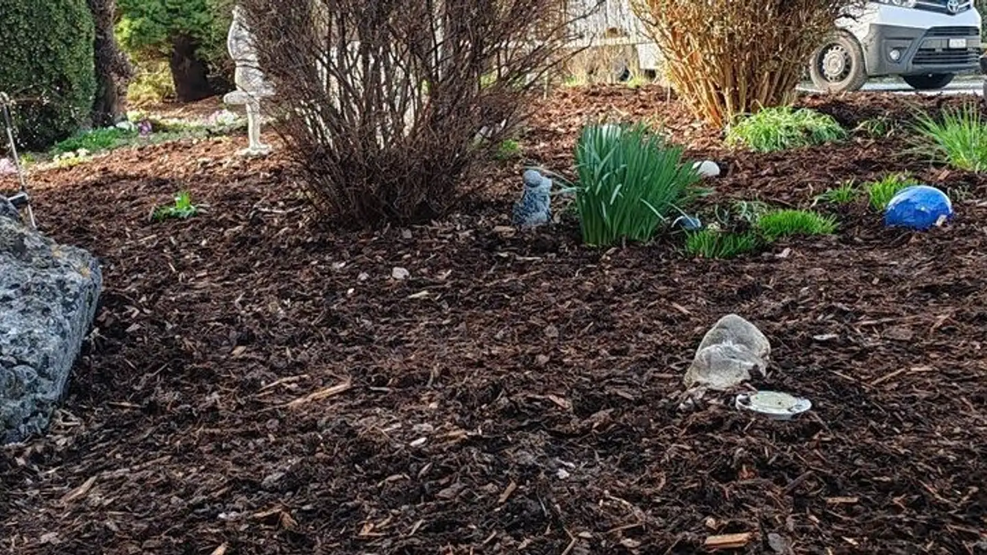 Casa bifamiliare in vendita - 4512 Bellach - Foto 3