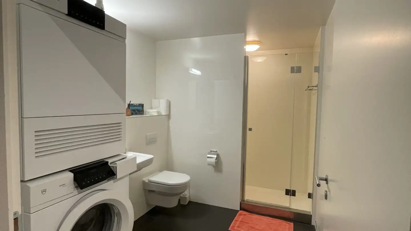 Loft à louer - Alte Tösstalstrasse 60, 8487 Rämismühle - Photo 3