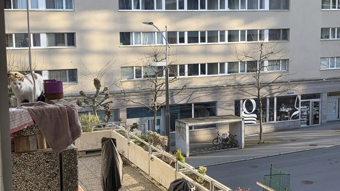 Chambre à louer - Avenue Beauregard, 1700 Fribourg - Photo 4