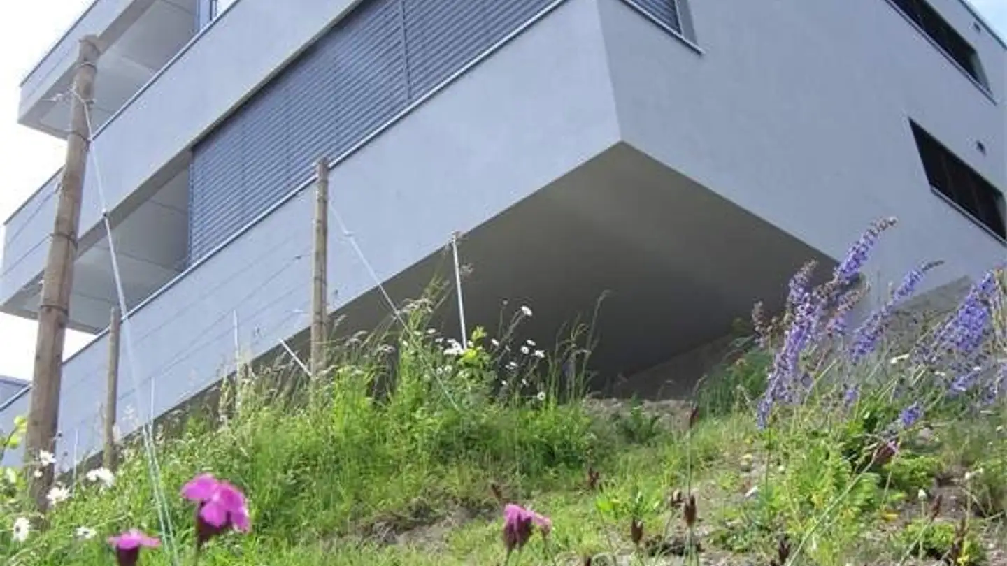 Wohnung mieten - Wanne-Locherstrasse 37, 9450 Lüchingen