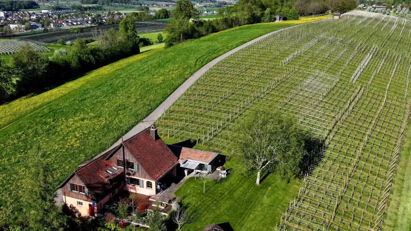 Maison individuelle à vendre - Buchenbergstrasse 12, 8583 Götighofen - Photo 3