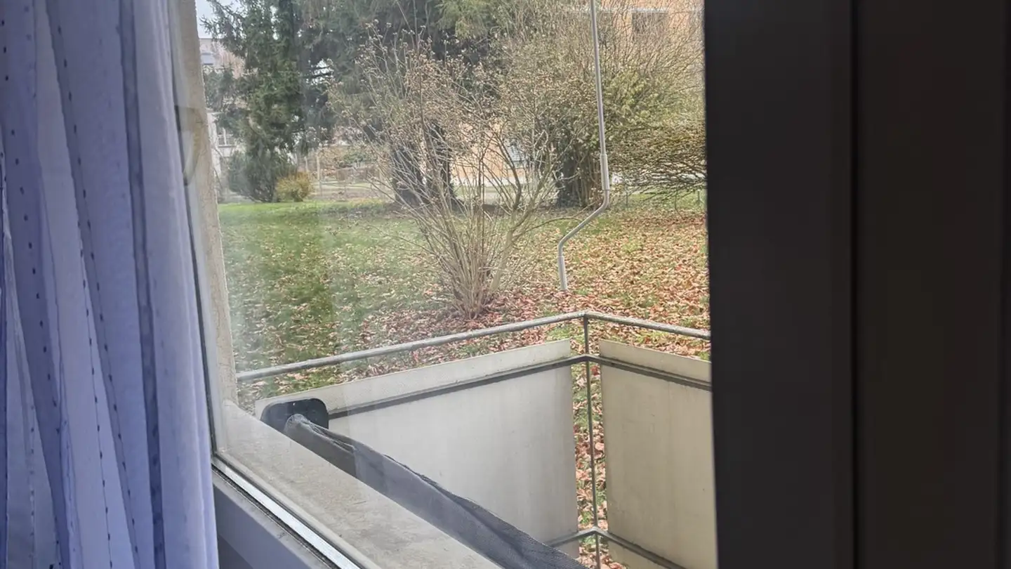 Stanza singola in affitto - 8051 Zürich - Foto 3