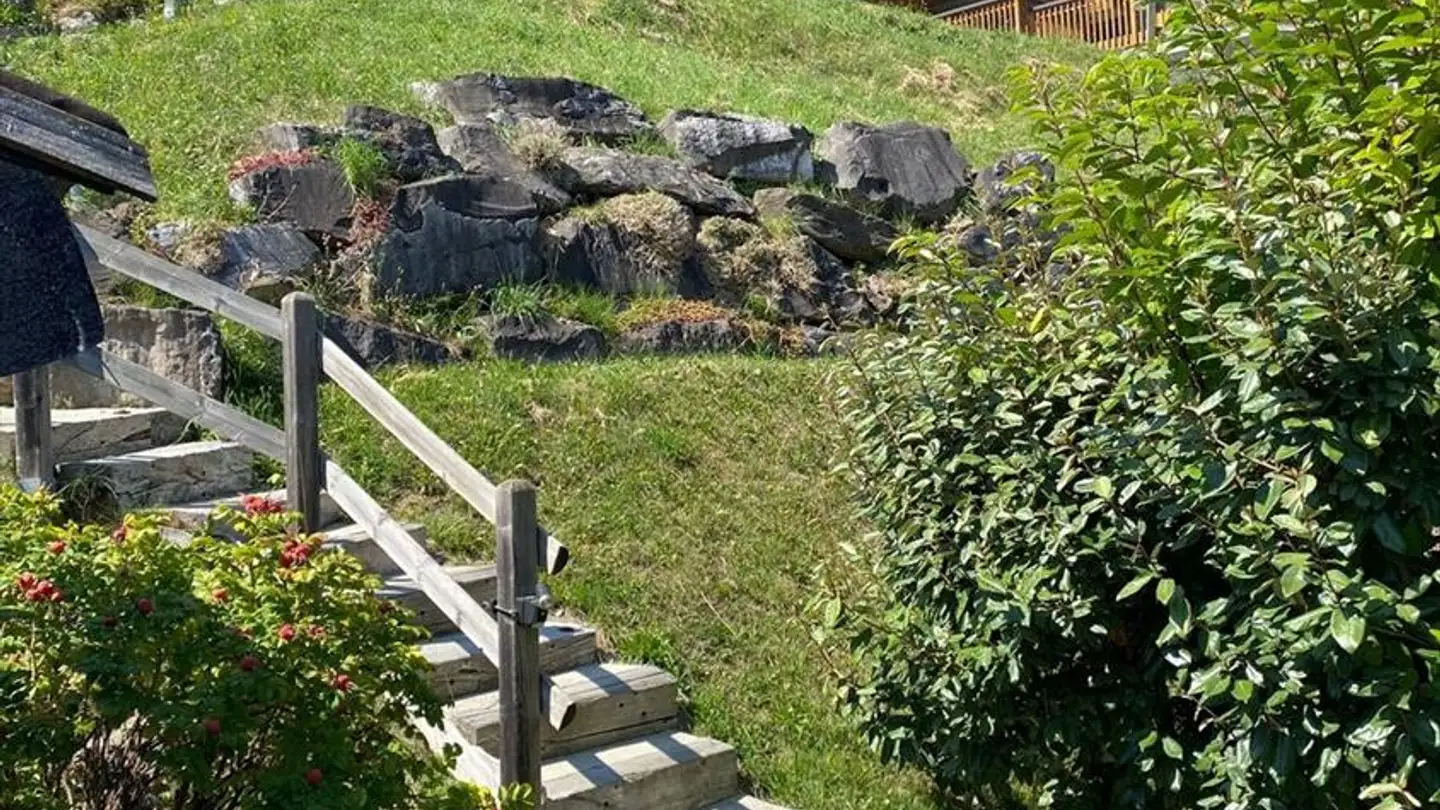 Chalet for sale - Chemin De Sereunex 10, 1882 Gryon - Photo 3