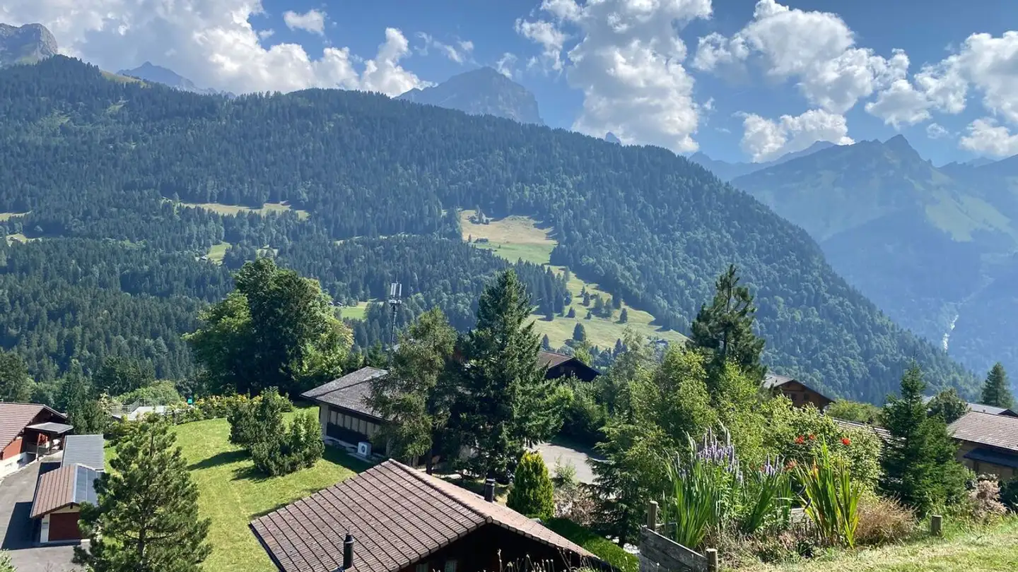 Chalet for sale - Chemin De Sereunex 10, 1882 Gryon - Photo 4