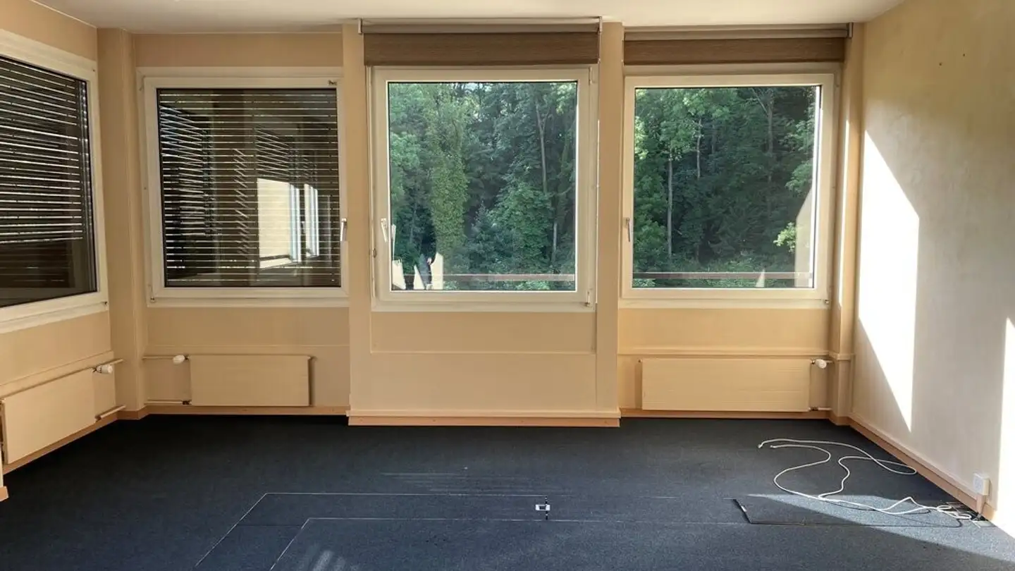 Spazio ufficio in affitto - Rue Du Tir-Au-Canon 4, 1227 Carouge GE - Photo 4