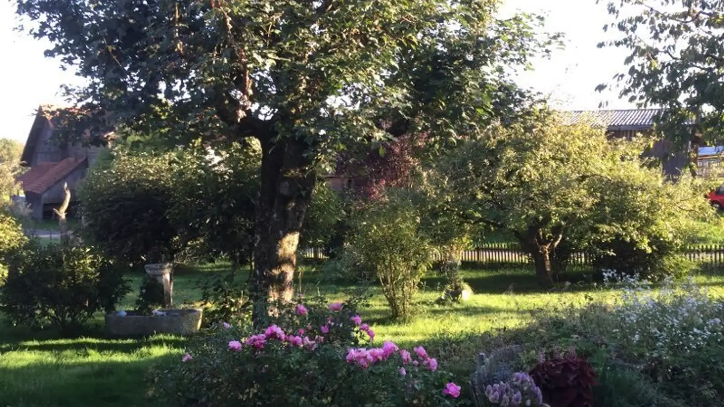 Terreno edificabile in vendita - 1084 Carrouge VD - Photo 3