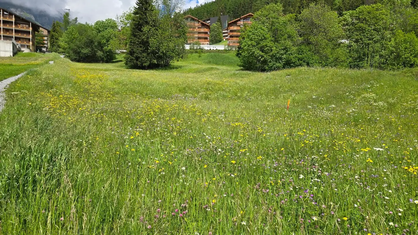 Terrain constructible à vendre - 3954 Leukerbad