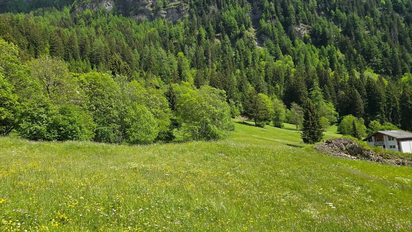 Terrain constructible à vendre - 3954 Leukerbad - Photo 3