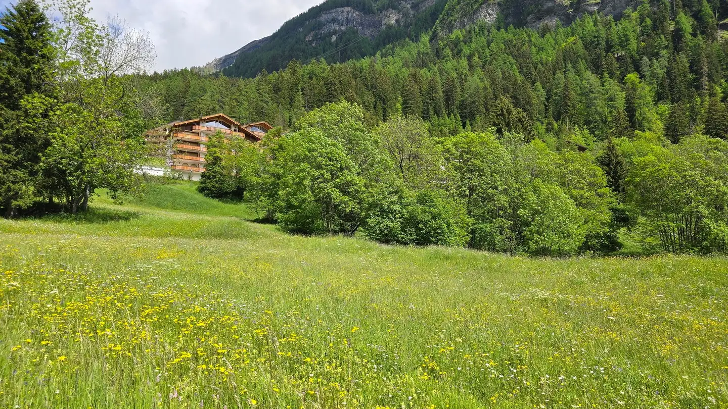 Terrain constructible à vendre - 3954 Leukerbad - Photo 2