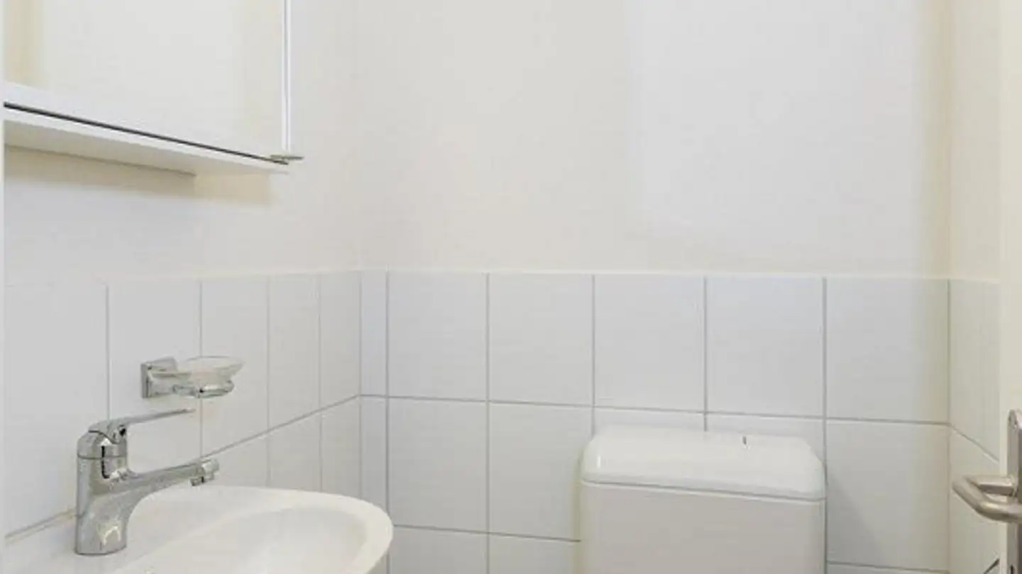Duplex for rent - Im Reinacherhof 105a, 4153 Reinach BL - Photo 4