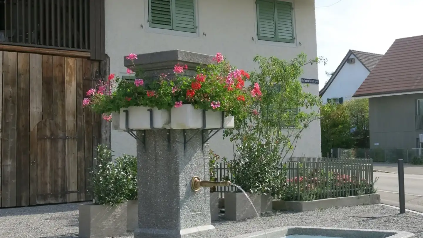 Duplex in affitto - Zürichstrasse 54, 8606 Nänikon - Foto 2