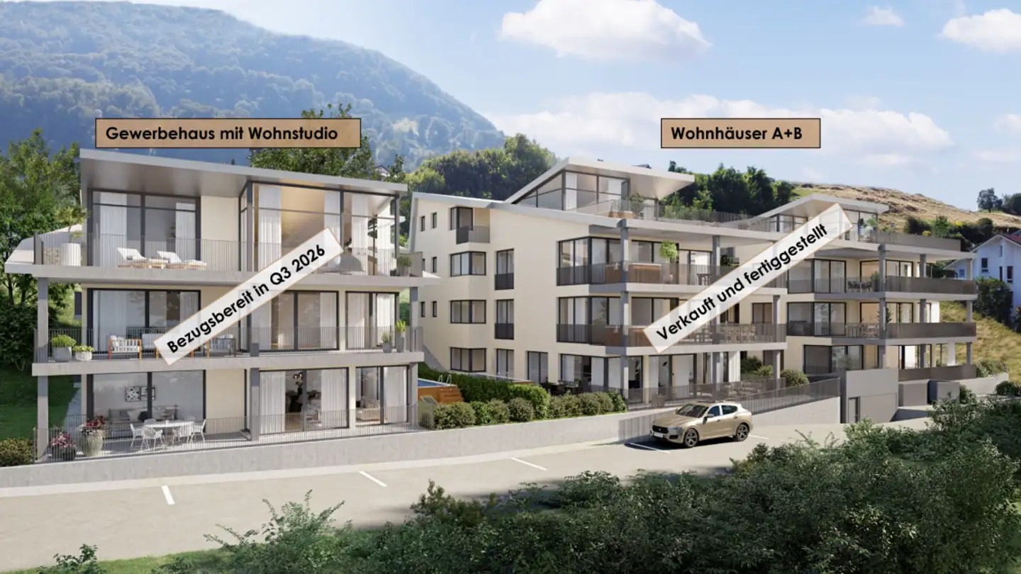 Appartement à vendre - Sonnenterrasse, 6404 Greppen