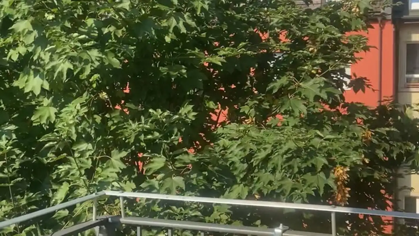 Stanza singola in affitto - 8045 Zürich - Foto 3