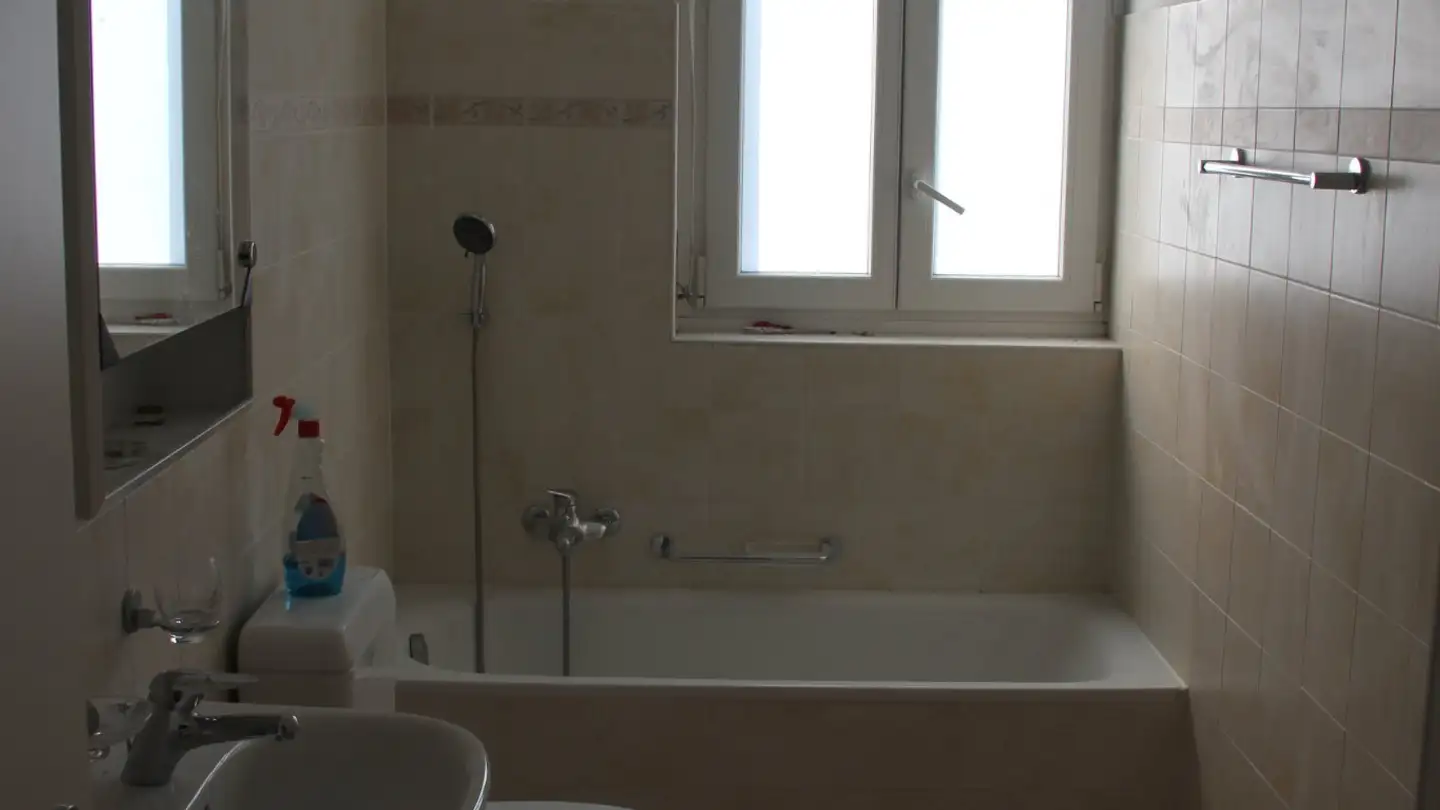 Wohnung mieten - Via Municipio 2, 6942 Savosa - Foto 3