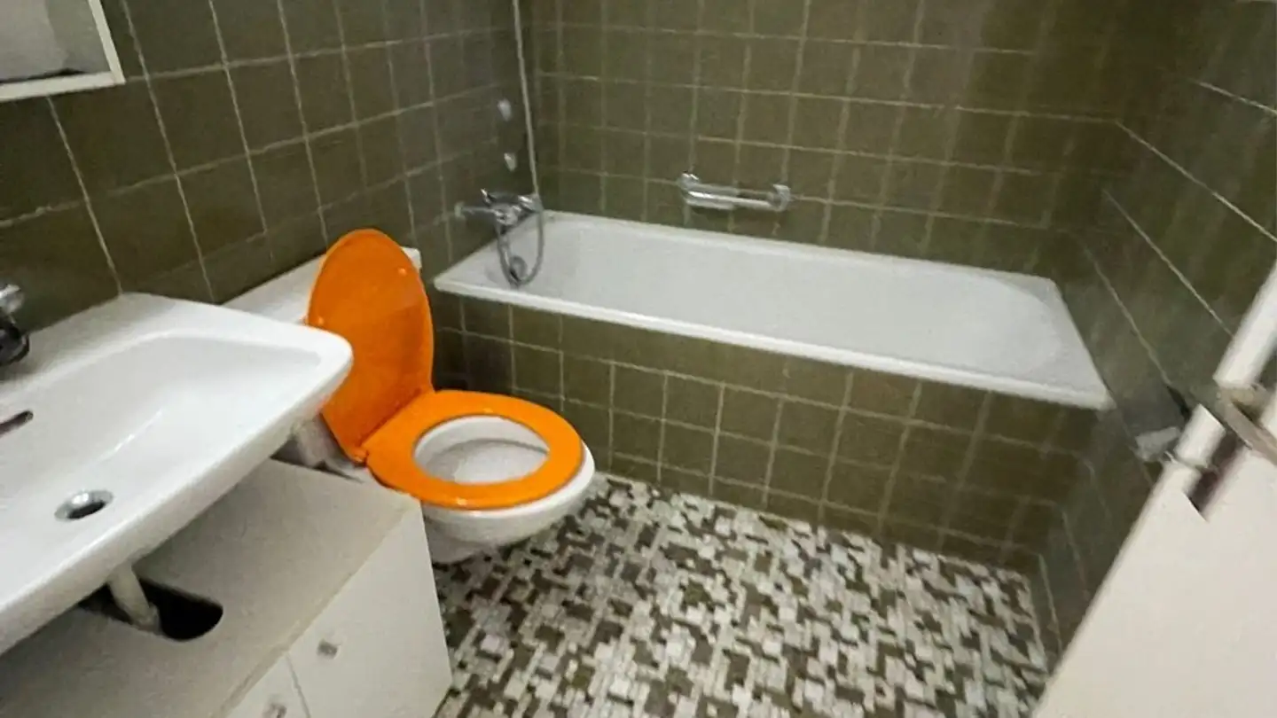 Chambre à louer - Erlachstrasse, 8003 Zürich - Photo 3