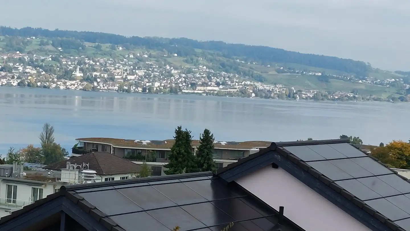 Casa singola in affitto - Alte Steinacherstrasse 19, 8804 Au ZH - Photo 2