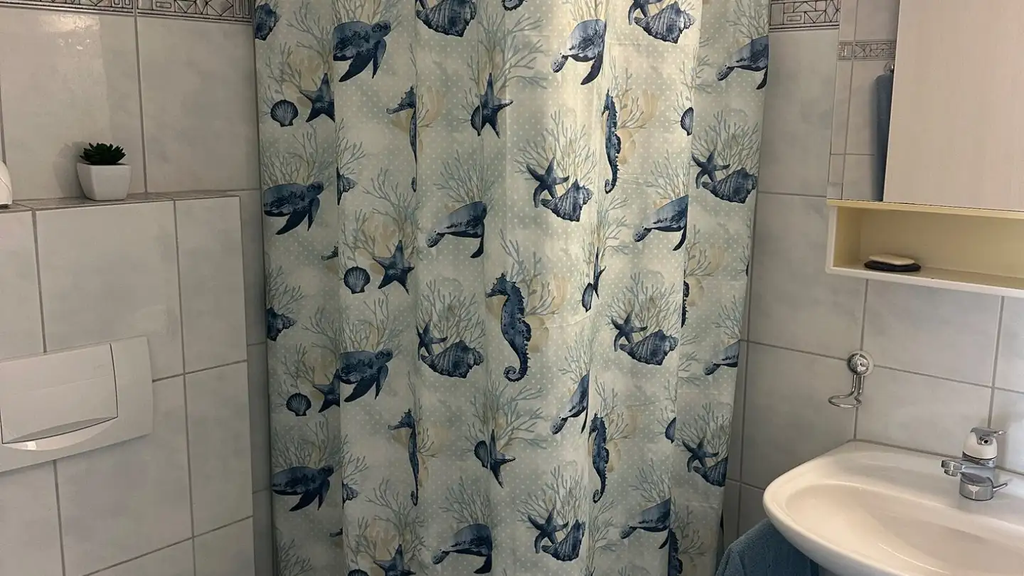 Appartement à louer - Kürzihof 3, 8967 Widen - Photo 3