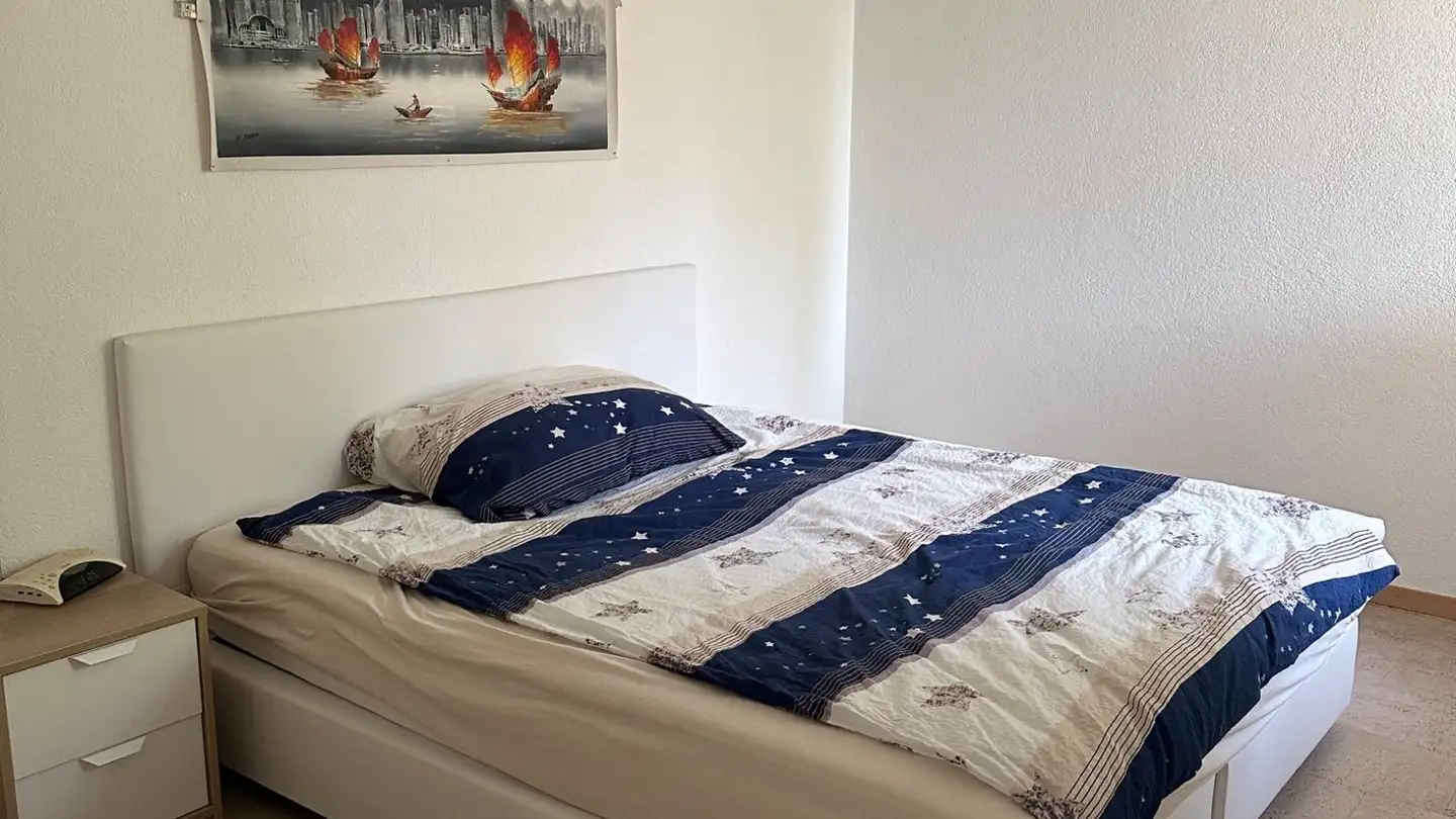 Appartement à louer - Kürzihof 3, 8967 Widen - Photo 4