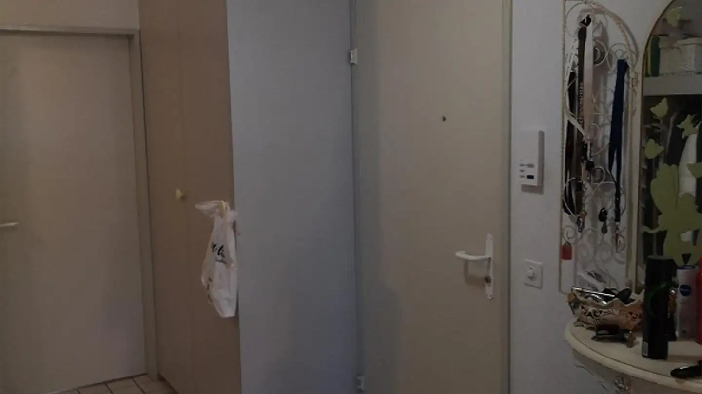 Appartamento in affitto - Feldheimstrasse 15, 6260 Reiden - Photo 4