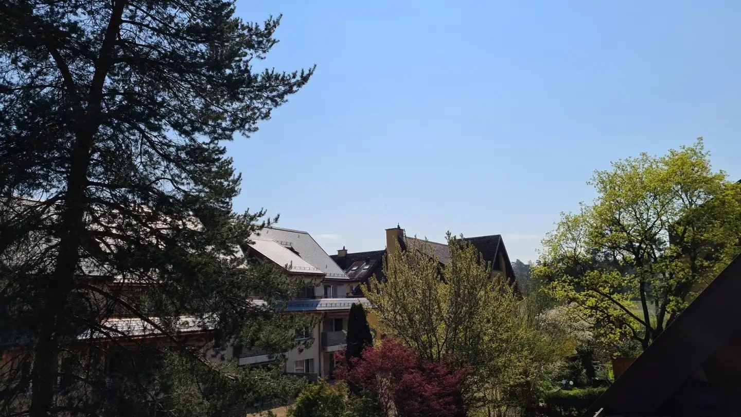 Zimmer mieten - Schwandenholzstrasse 236, 8046 Zürich - Foto 3