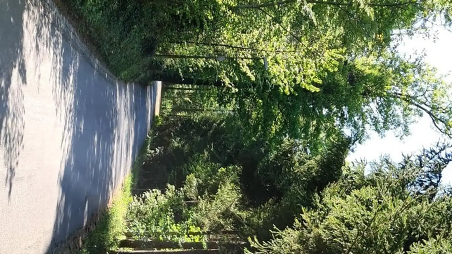 Zimmer mieten - Schwandenholzstrasse 236, 8046 Zürich - Foto 4