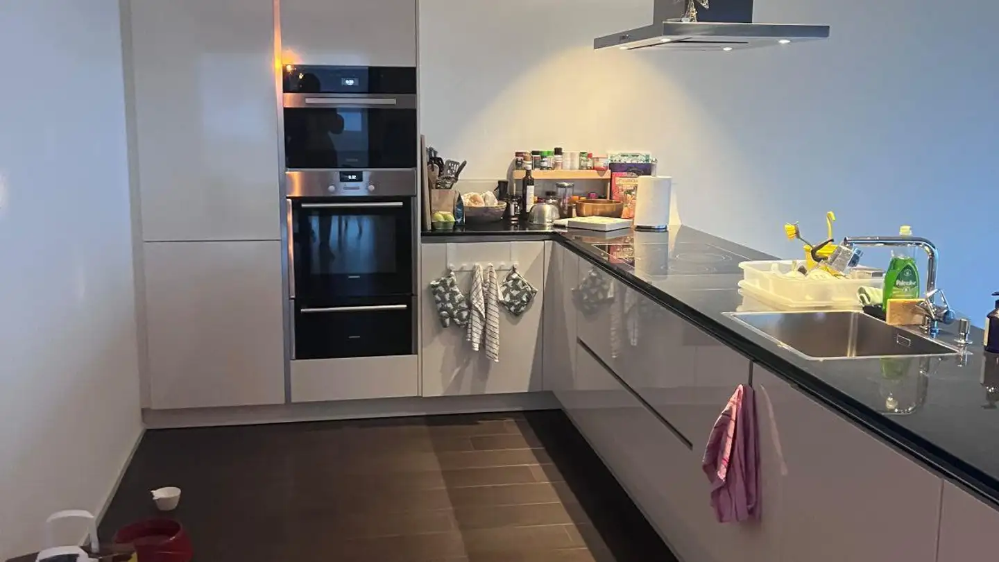 Appartement à louer - Chemin De Fénix 42, 1095 Lutry