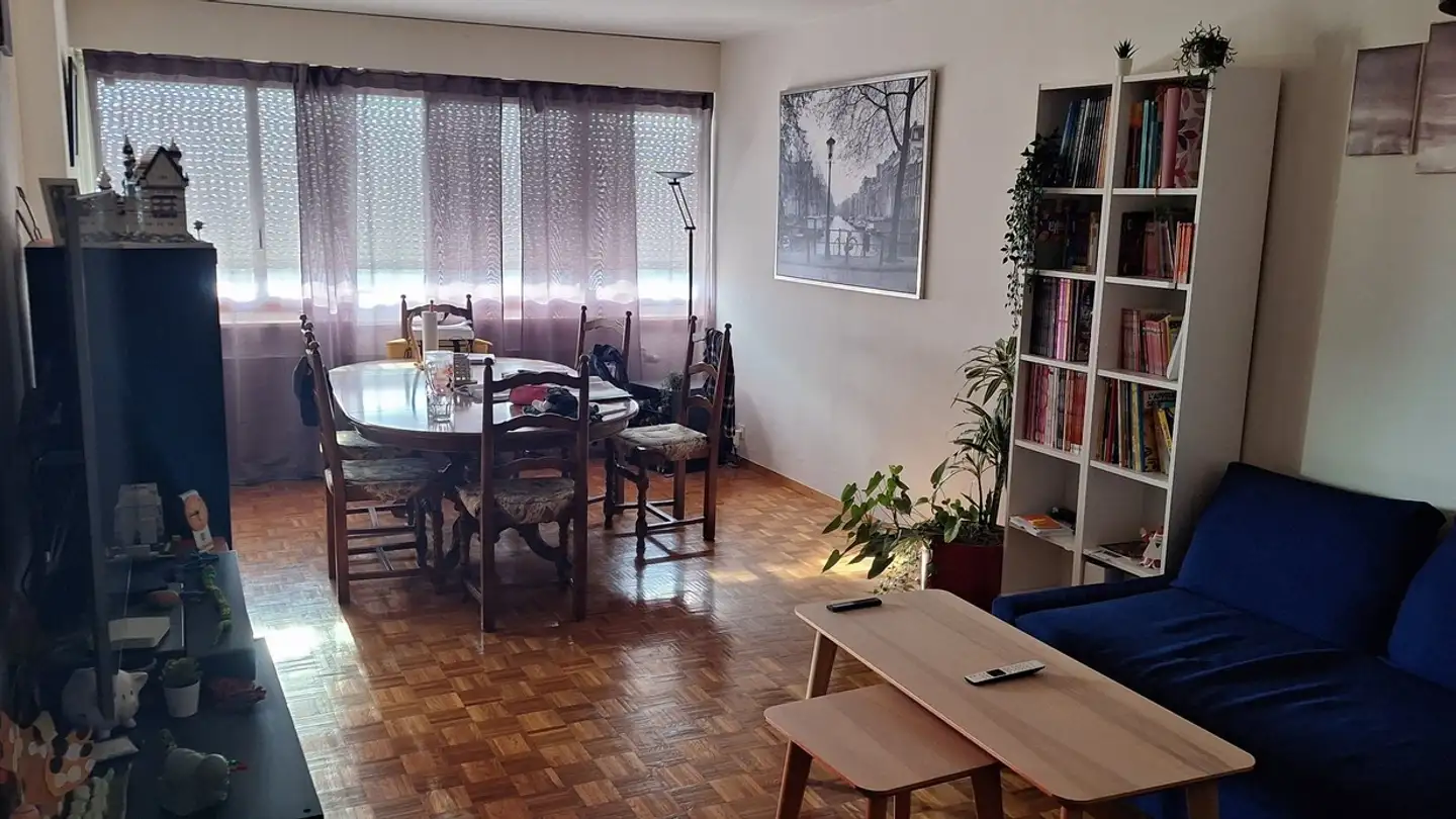Appartamento in affitto - Avenue De La Rochelle 5, 1008 Prilly