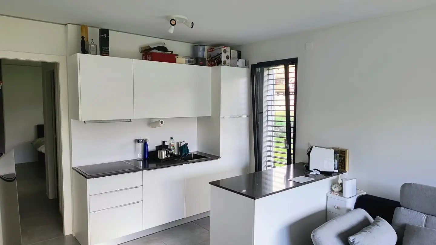 Appartement à louer - Via Boscioro 12, 6998 Monteggio - Photo 2