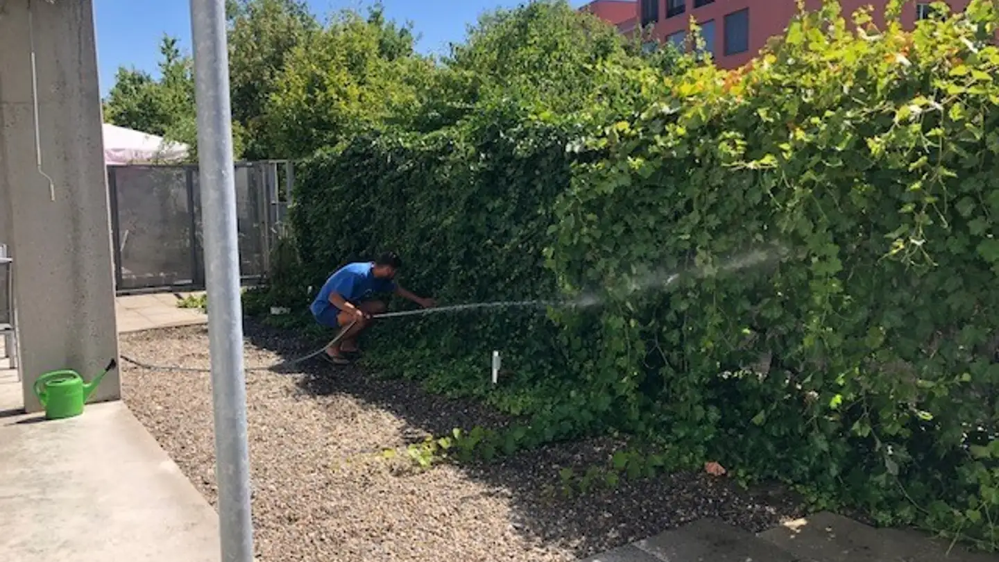 Single room for rent - Husmatt 6, 5405 Dättwil AG - Photo 3