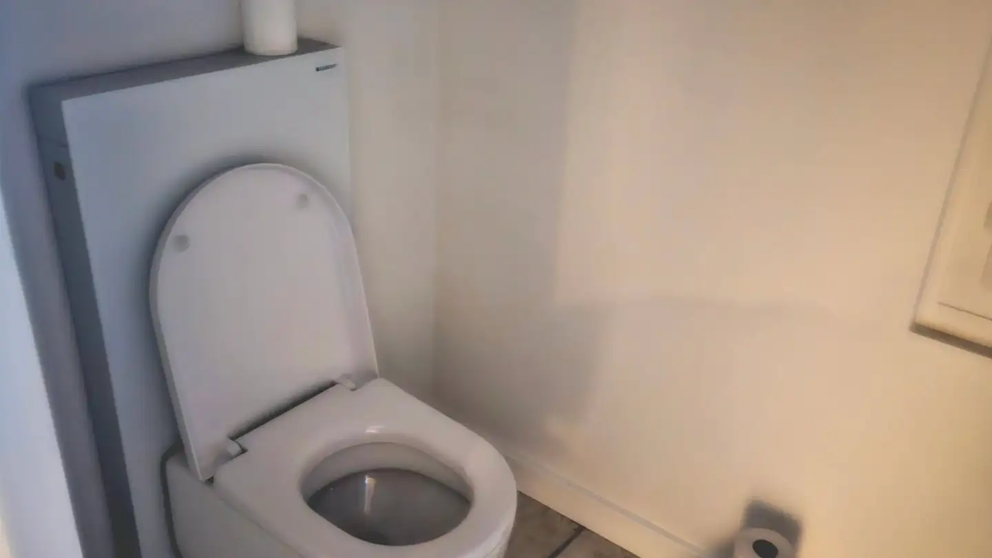 Appartement à louer - Hinterdorfstrasse 10, 3550 Langnau im Emmental - Photo 3