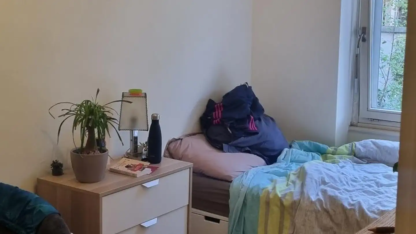 Single room for rent - Jungstrasse, 4056 Basel - Photo 2