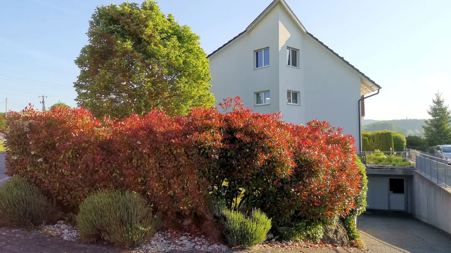 Single house for rent - Schachenstrasse 24, 8182 Hochfelden - Photo 2