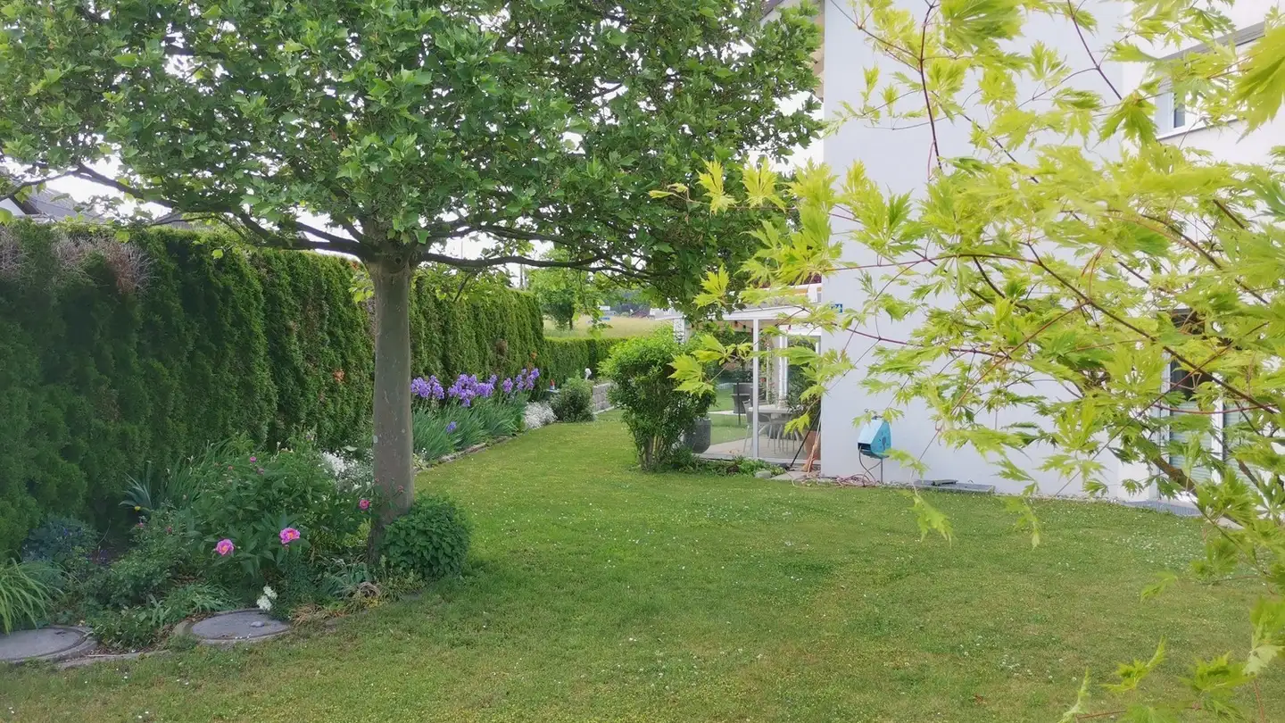 Single house for rent - Schachenstrasse 24, 8182 Hochfelden - Photo 4