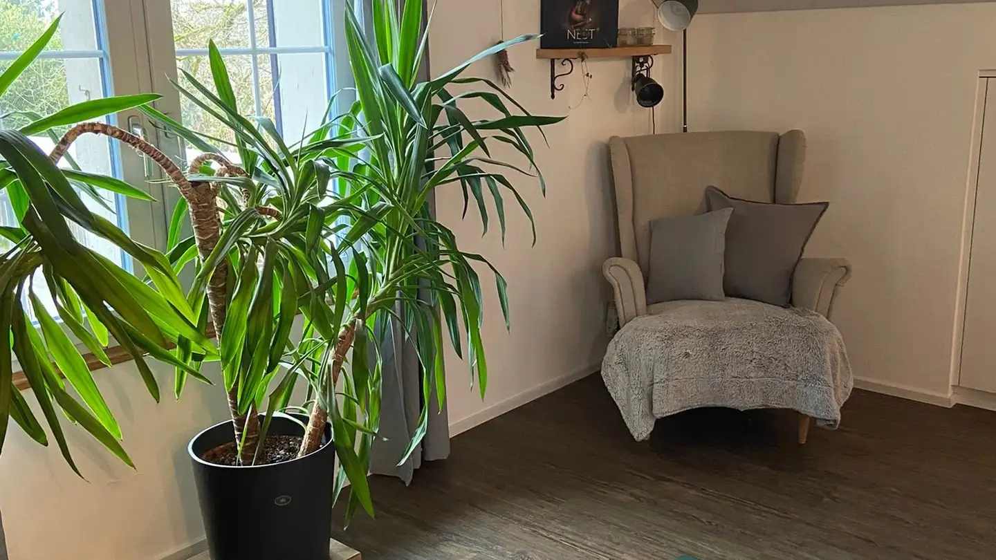 Single house for rent - 4900 Langenthal - Photo 2