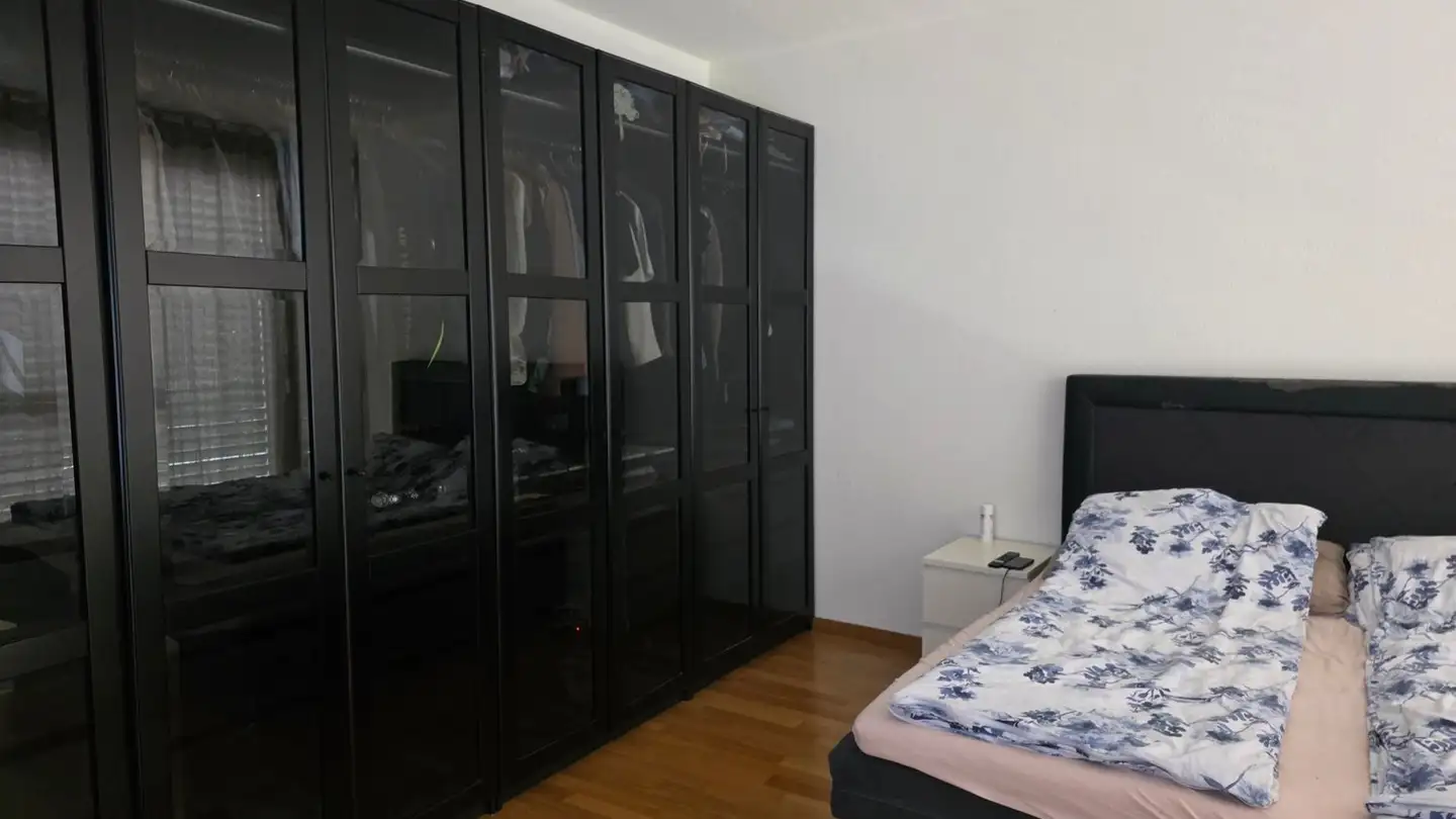 Appartamento in affitto - Lorzenparkstrasse 14, 6330 Cham