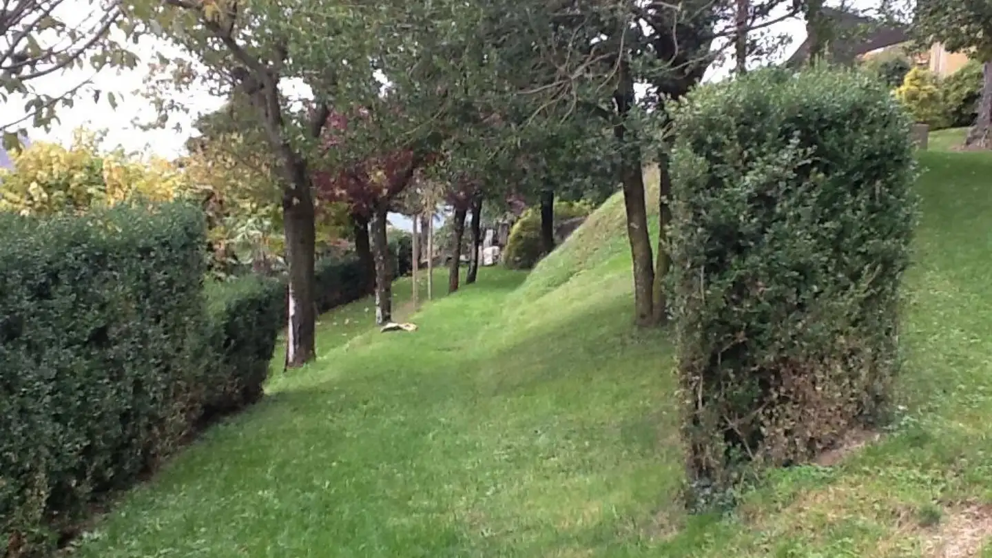 Appartement à louer - Via Ugo Canonica 11, 6958 Bidogno