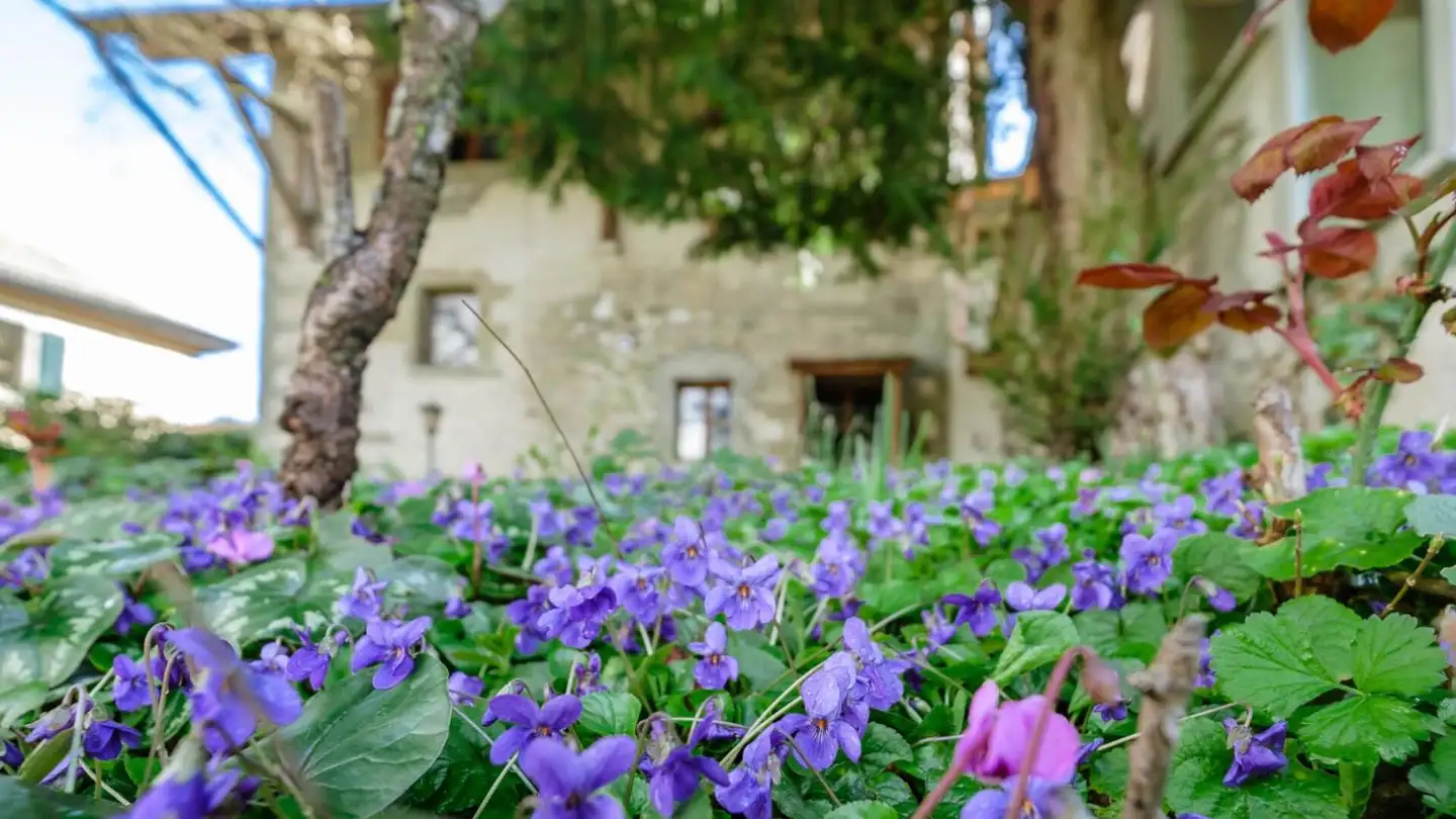 Casa a schiera in vendita - 1284 Chancy