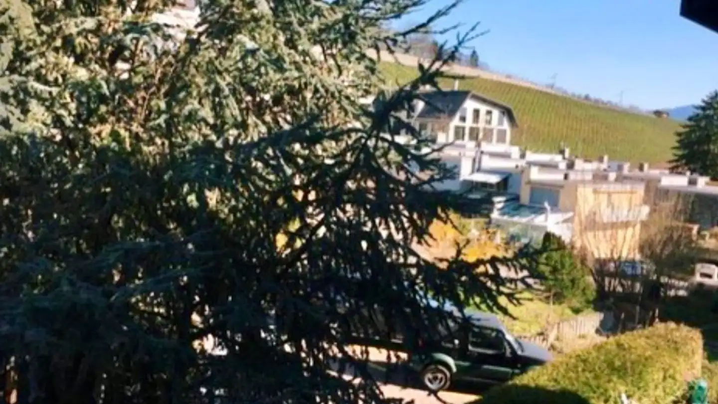 Wohnung mieten - Eulenbachstrasse 10, 8832 Wilen b. Wollerau