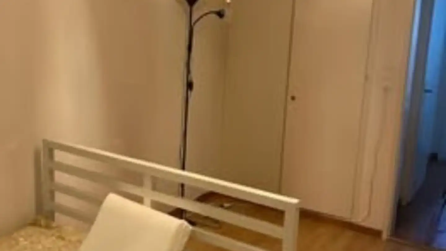 Furnished apartment for rent - Hörnlistrasse 22, 8400 Winterthur