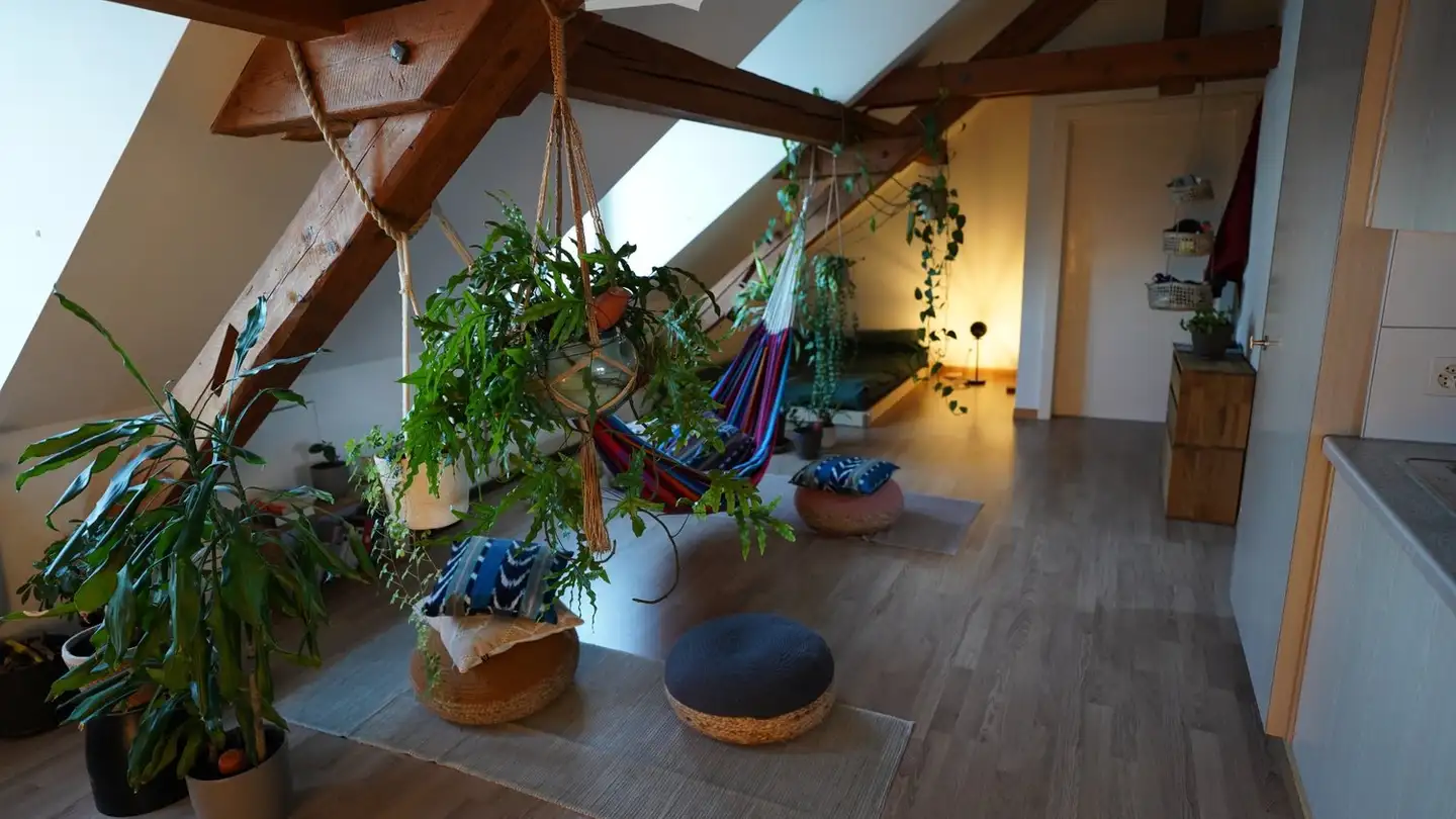 Wohnung mieten - Rosinliweg 44, 8400 Winterthur