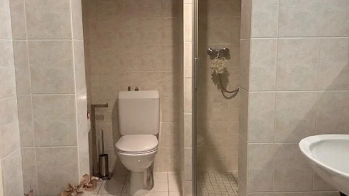 Appartamento in affitto - 1290 Versoix - Foto 4