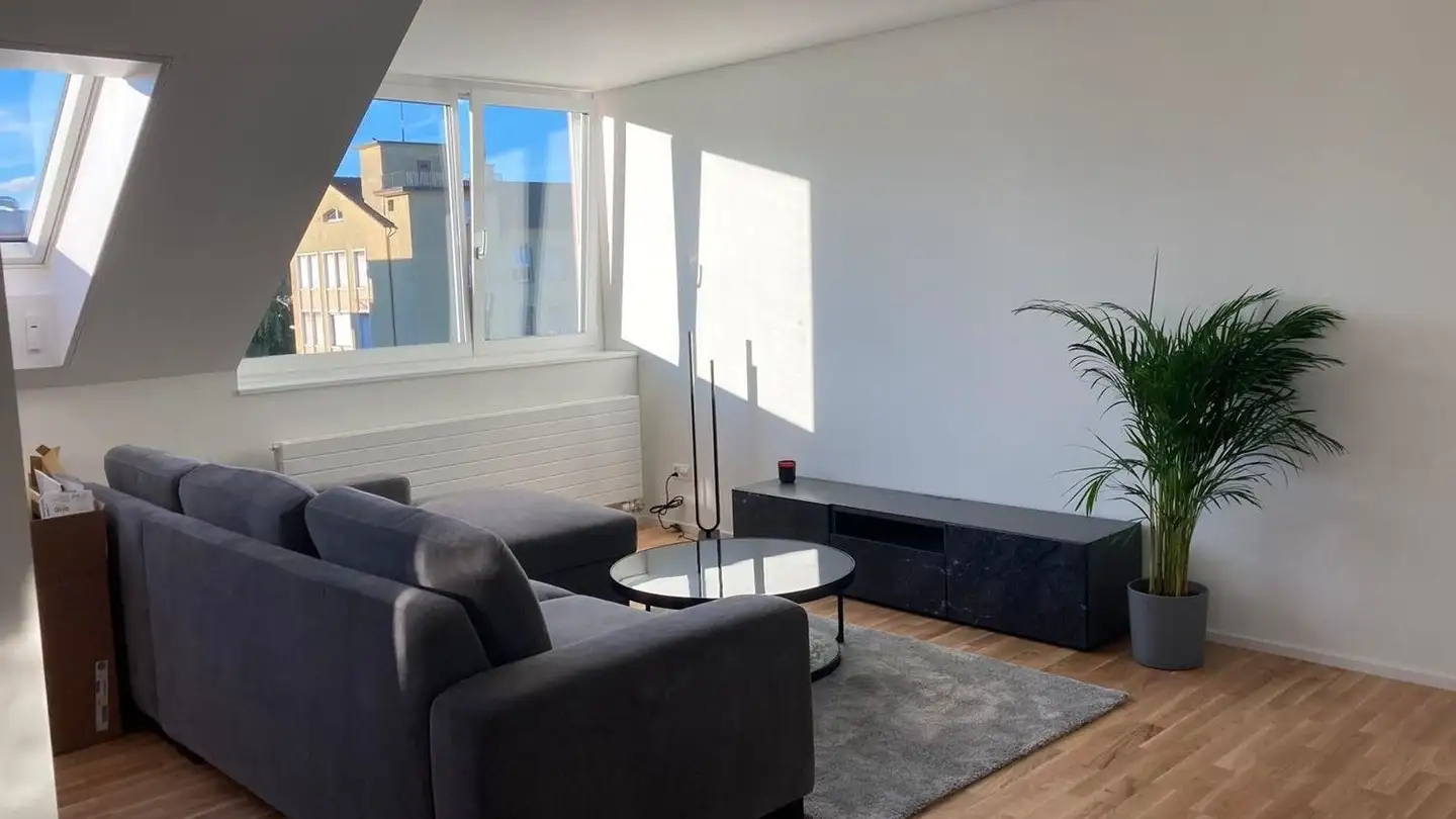 Attico in affitto - Hofwiesenstrasse 285, 8050 Zürich