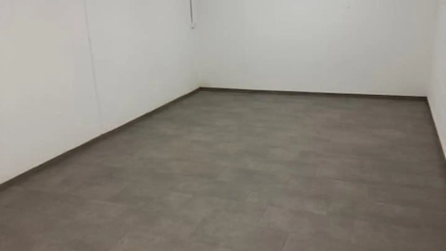 Workshop for rent - Bitzmattstrasse 1, 4703 Kestenholz - Photo 4