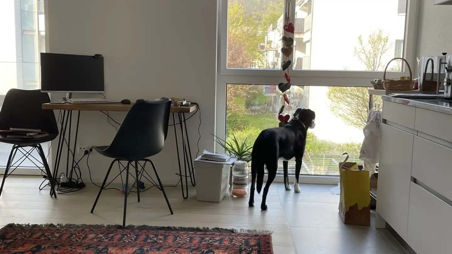 Appartement à louer - In Der Wässeri 30, 8047 Zürich - Photo 4